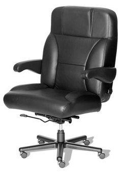 Stress Reducer Lumbar Support Office Chair
